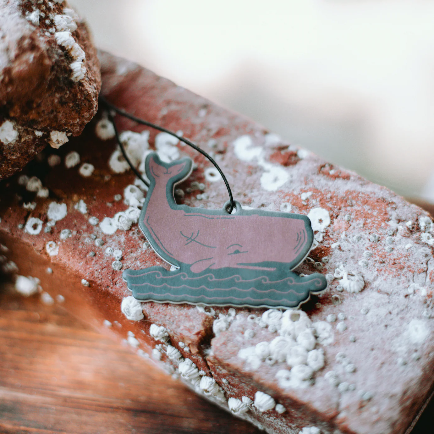 Acadia National Park Air Freshener - Image 2