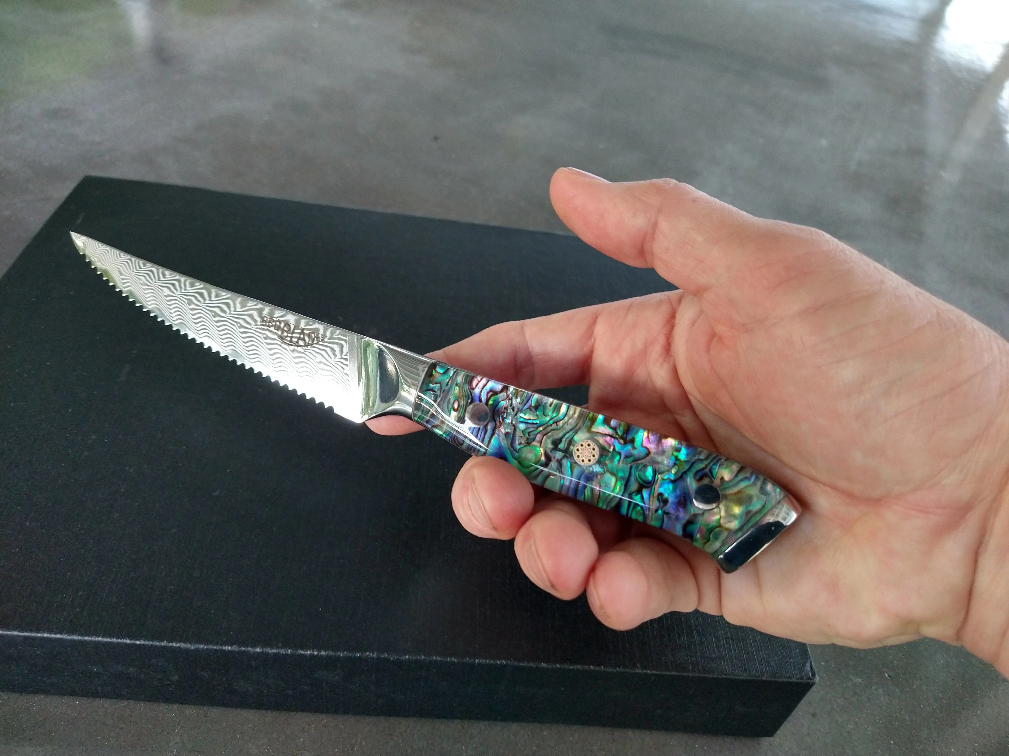 BBQ Blades™ Steak Knife Set - Image 6