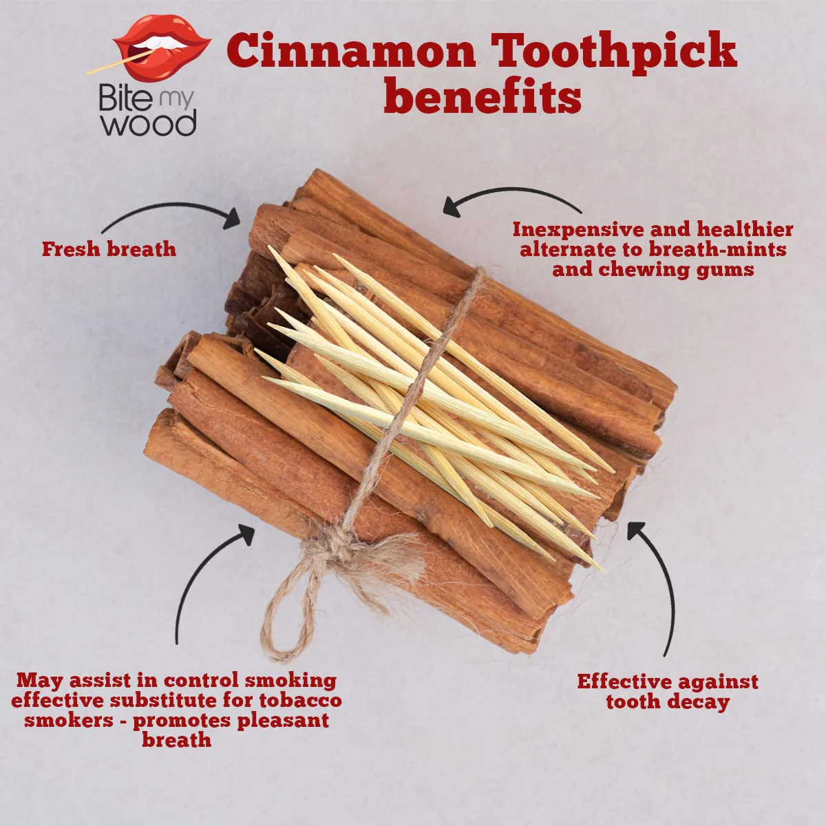 BiteMyWood 5 Pack qty Flavored Birchwood Toothpicks Ultimate Extreme Hot Cinnamon 60 Picks Total Count Super Infused Flavor Toothpick - Image 3