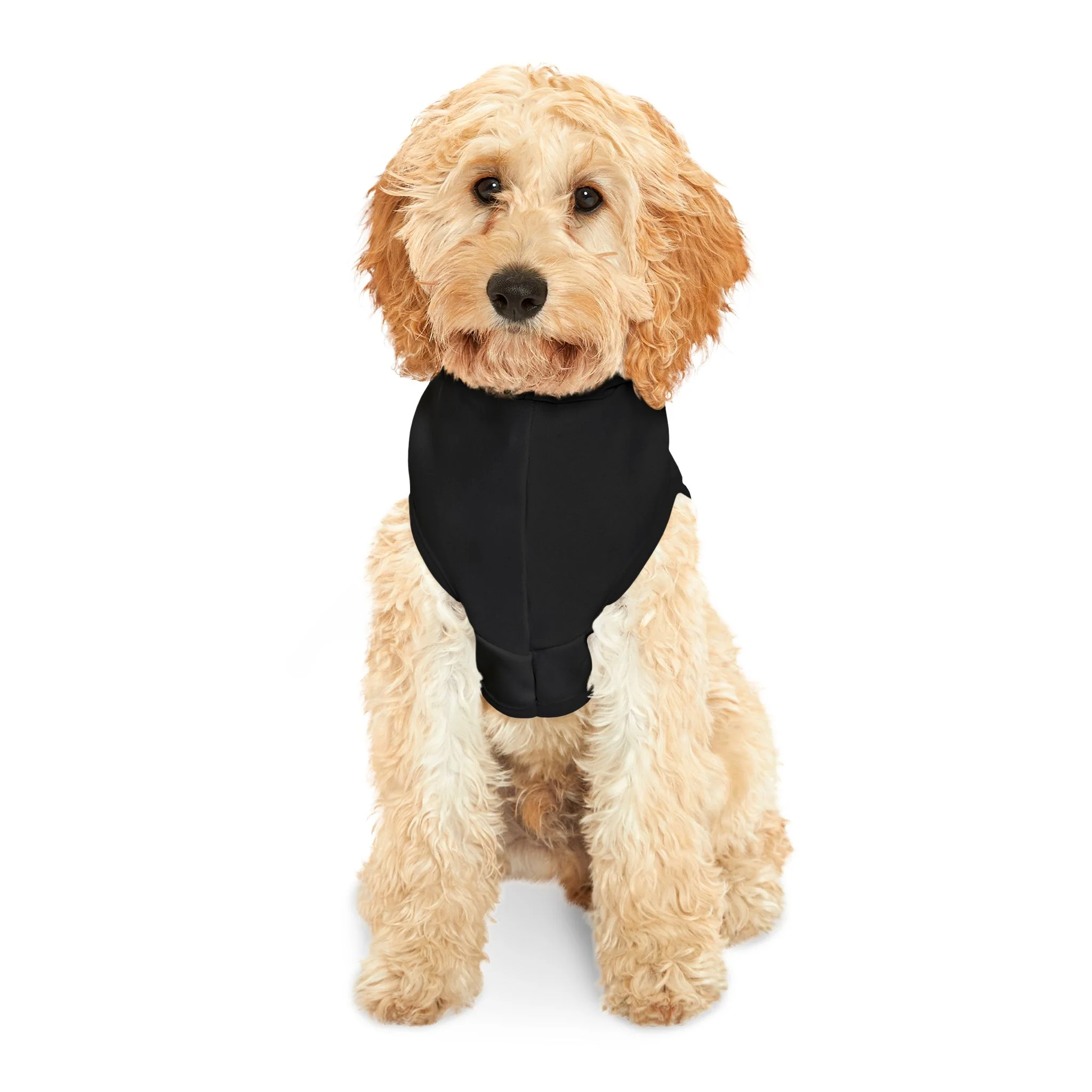 BiteMyWood Pet Hoodie - Image 5