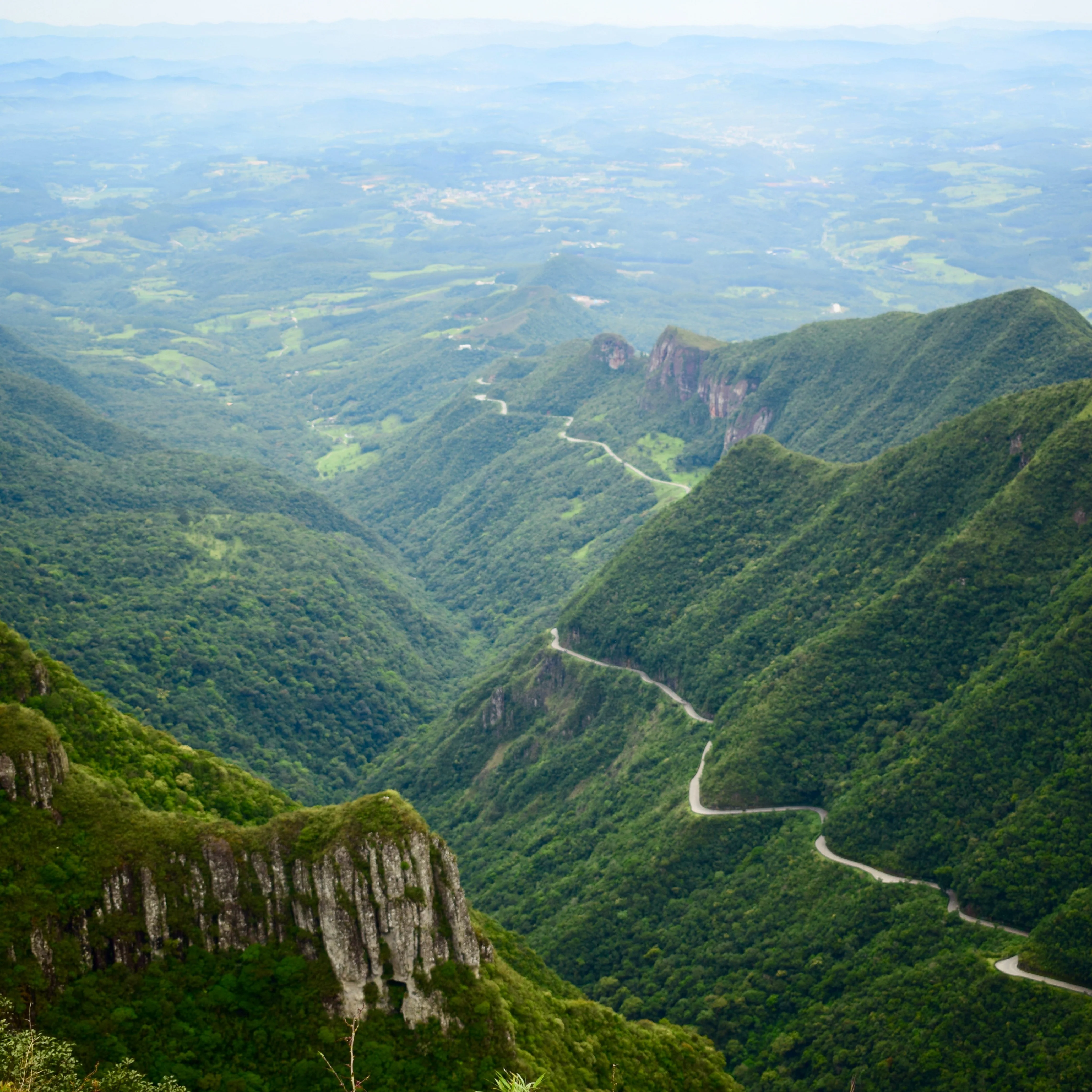 Brazil Matas de Minas - Image 3