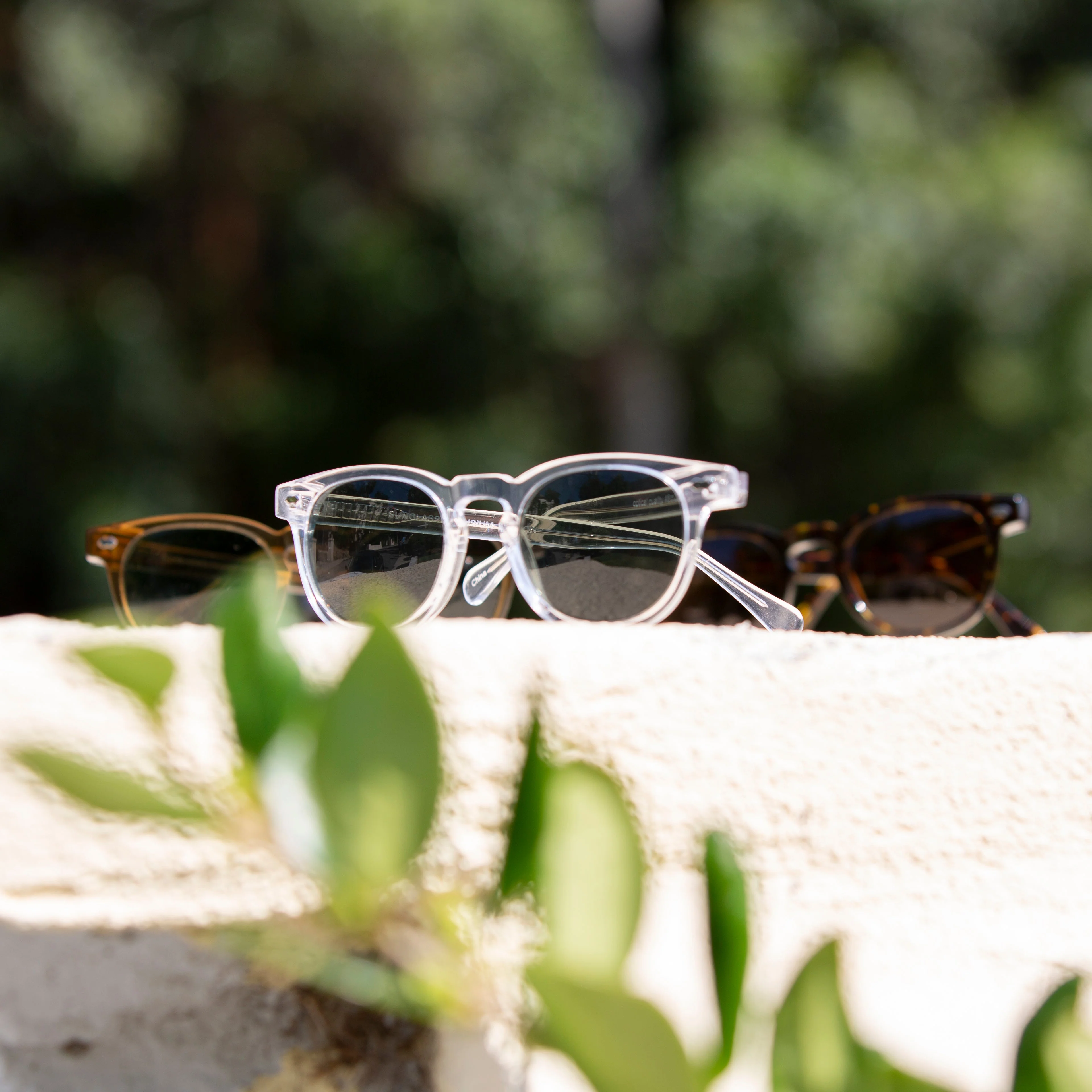 Clear Acetate Polarized Square Sunglass - Benson - Image 5