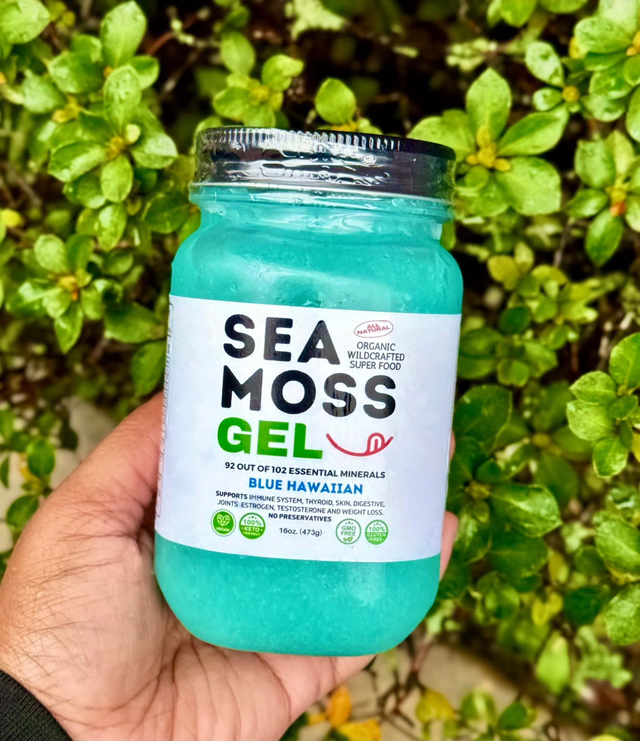 Flavored Sea Moss Gel - Dr. Sebi Inspired 100% Raw Organic - Wild Harvested Sea Moss - Image 5