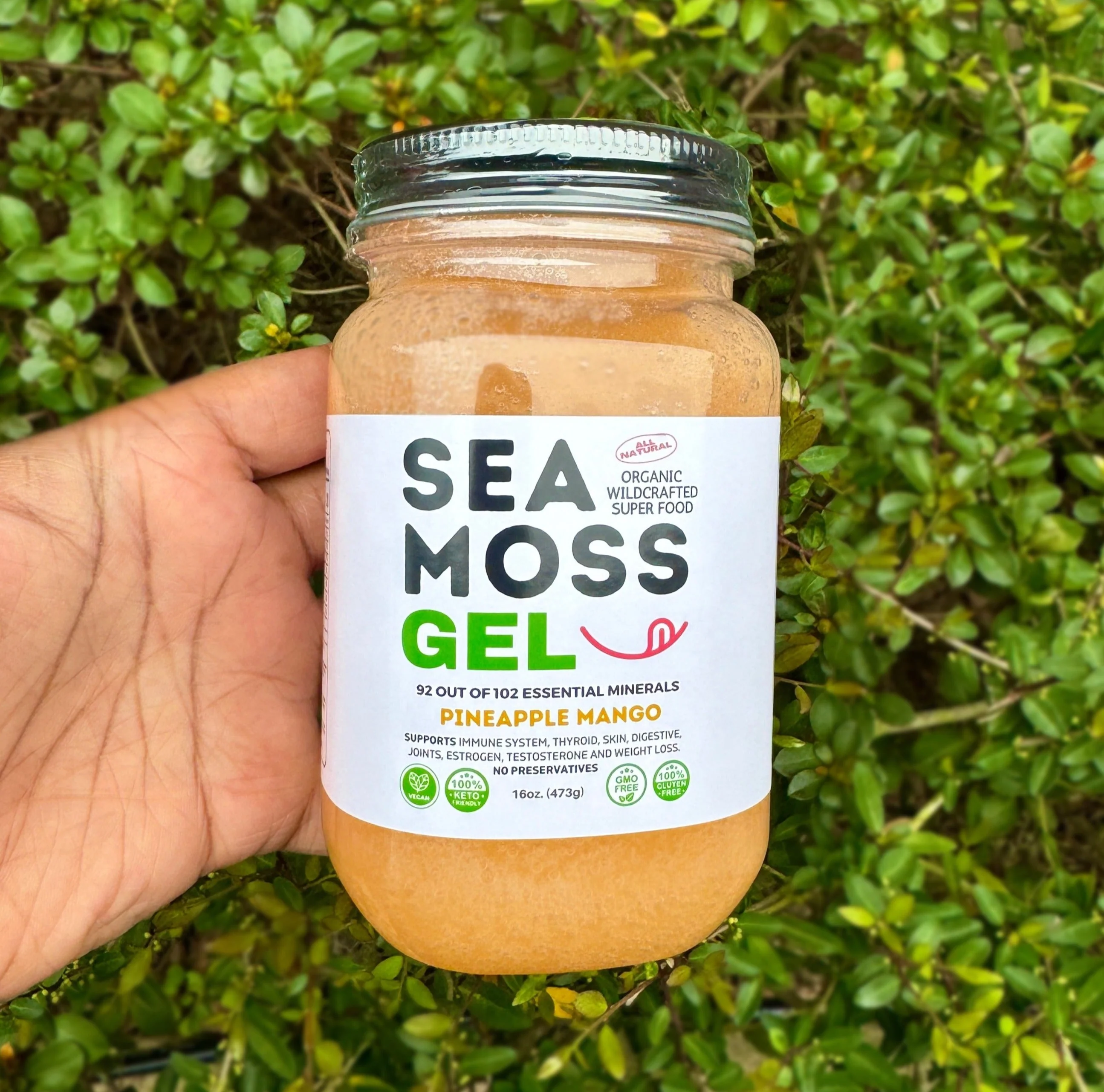 Flavored Sea Moss Gel - Dr. Sebi Inspired 100% Raw Organic - Wild Harvested Sea Moss - Image 8