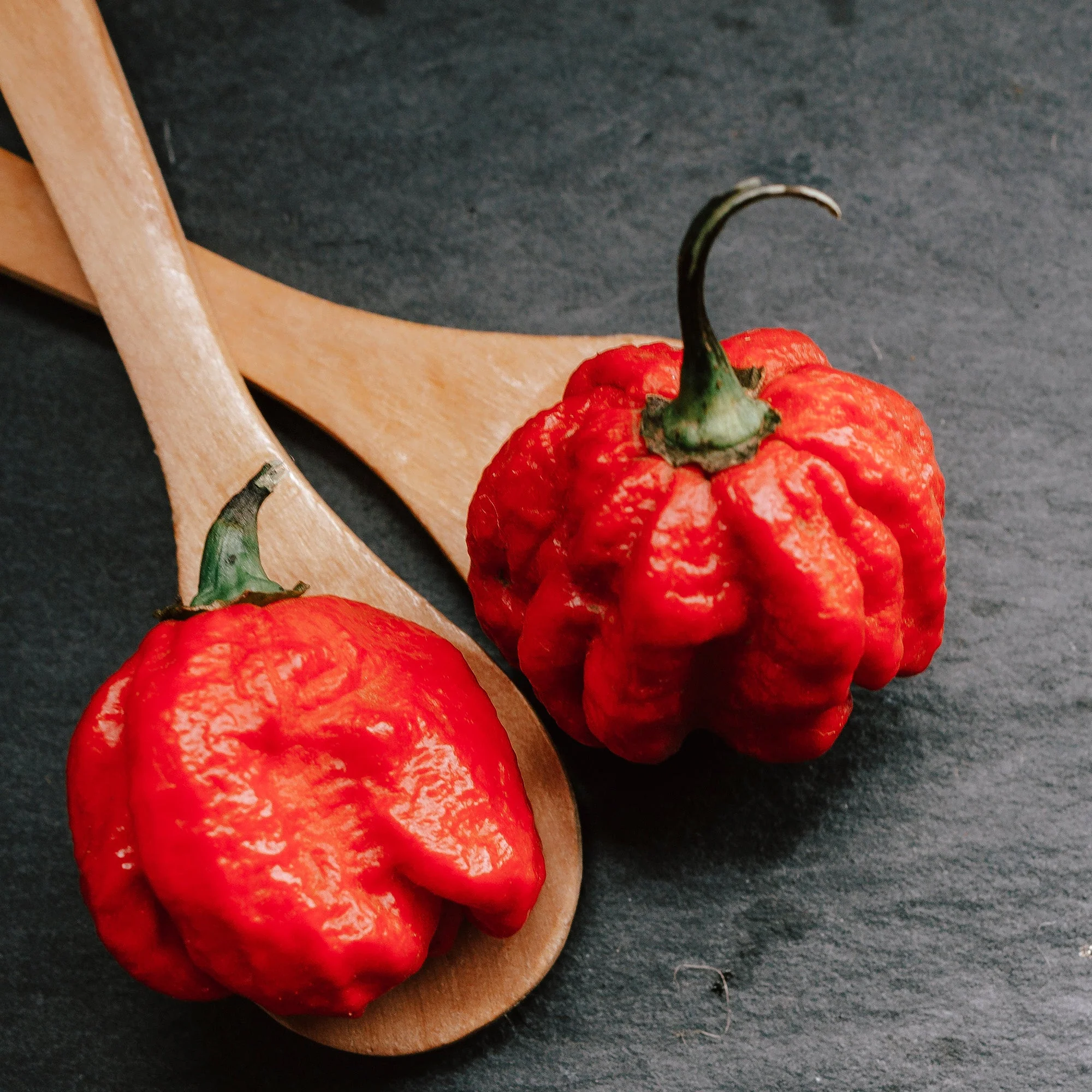Ghost Pepper Salt (Naga Jolokia) – XXX Extra Hot - Image 9