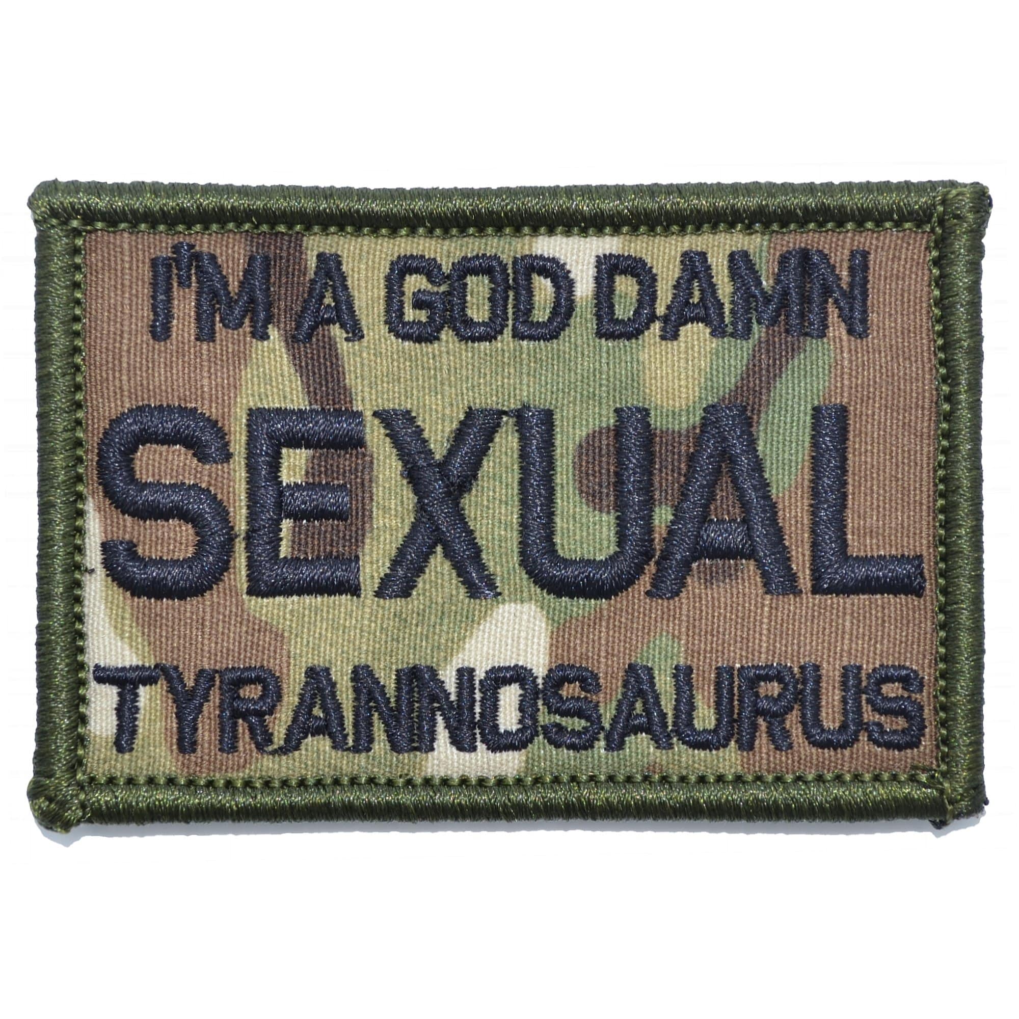 I'm a God Damn Sexual Tyrannosaurus - 2x3 Patch - Image 6