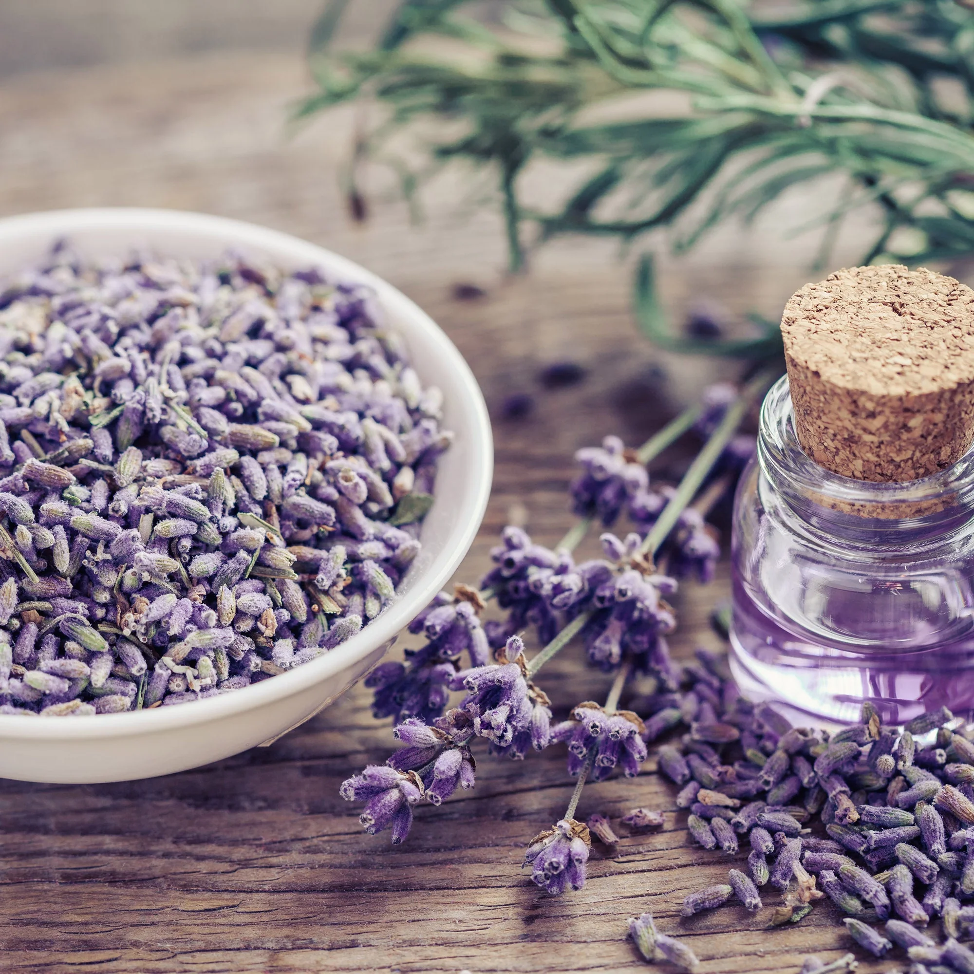 Lavender Flowers "Super Blue” (Whole) - Image 10