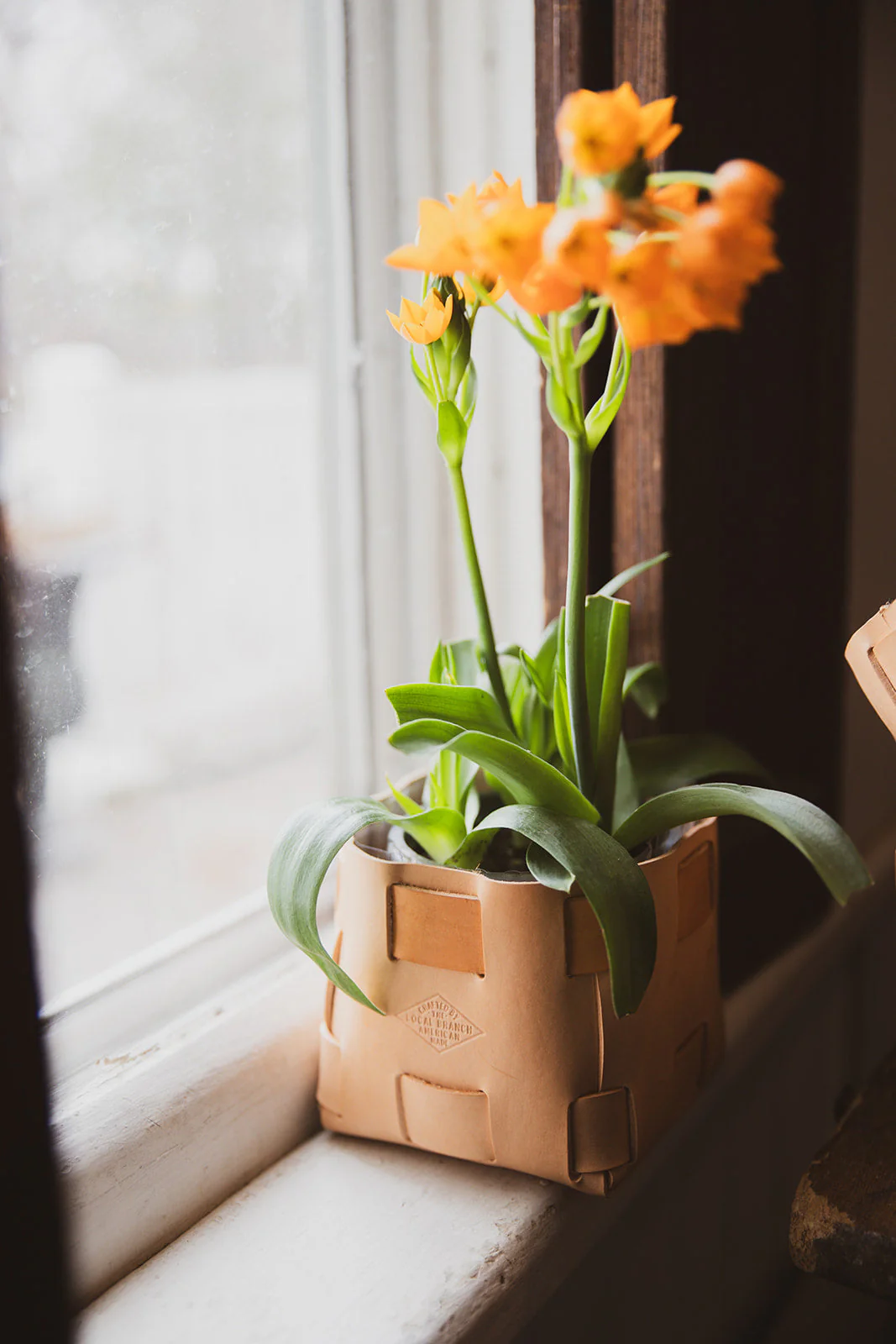 Leather Tabletop Planter  - USA Made - Image 3