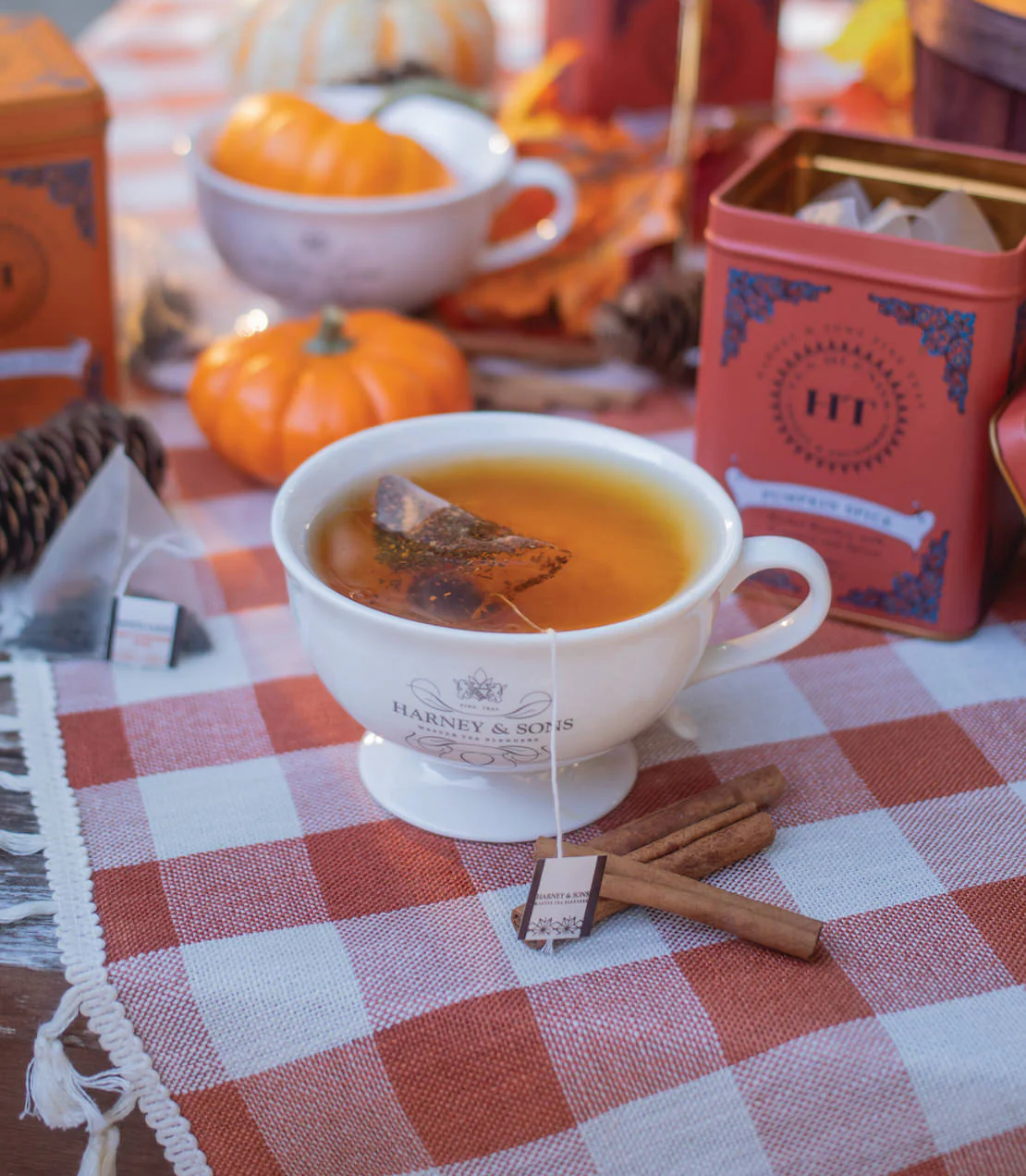 Pumpkin Spice, HT Tin of 20 Sachets - Image 2