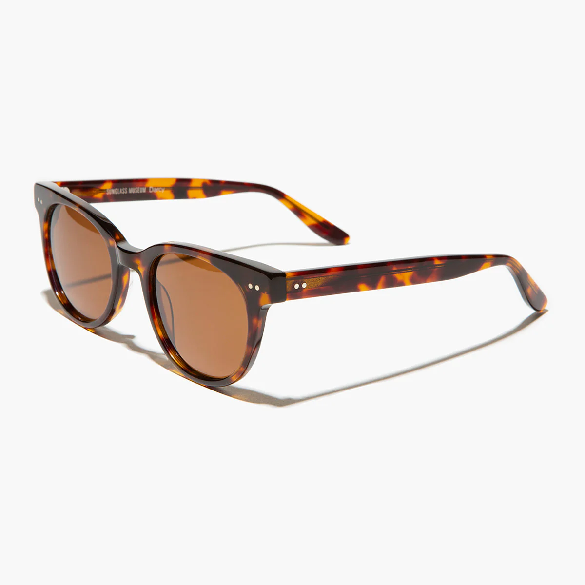 Round Hipster Sunglass with Polarized Lens - Darcy - Image 13