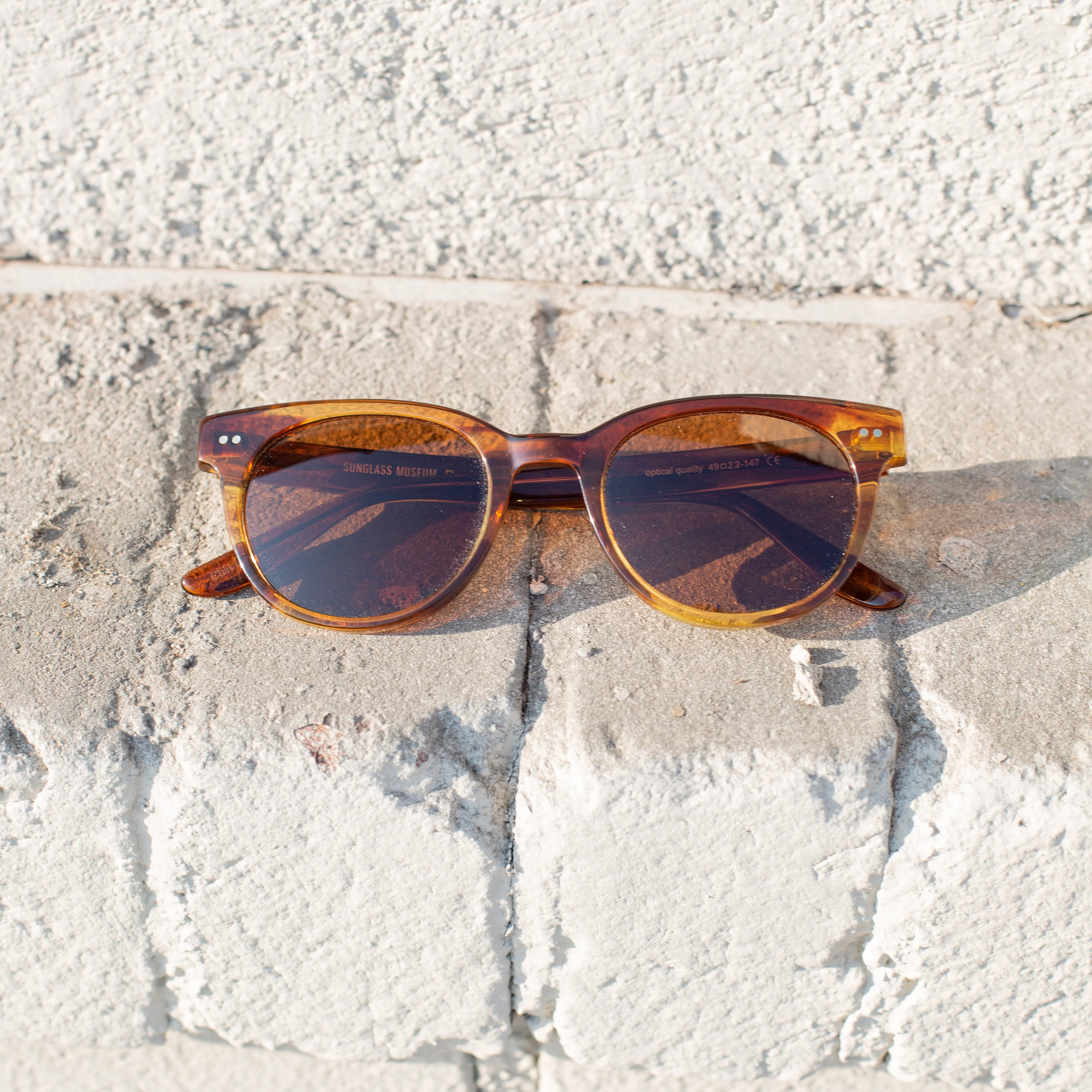 Round Hipster Sunglass with Polarized Lens - Darcy - Image 16