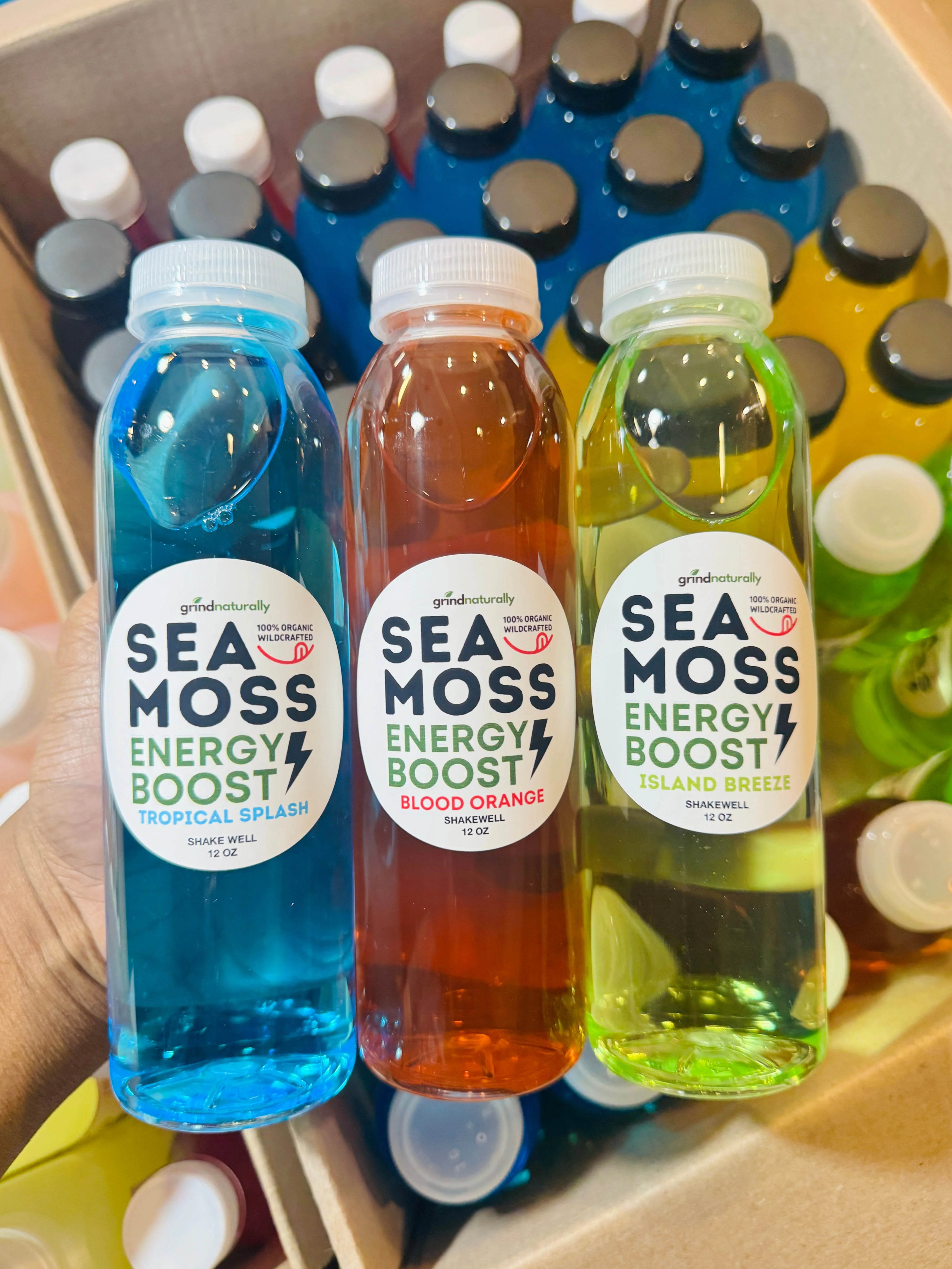 Sea Moss Energy Drink - 12oz - Image 3