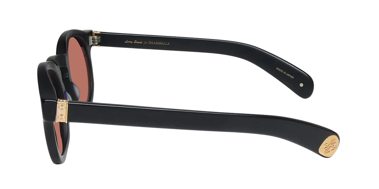 Shamballa Peace Train Sunglasses - Image 4