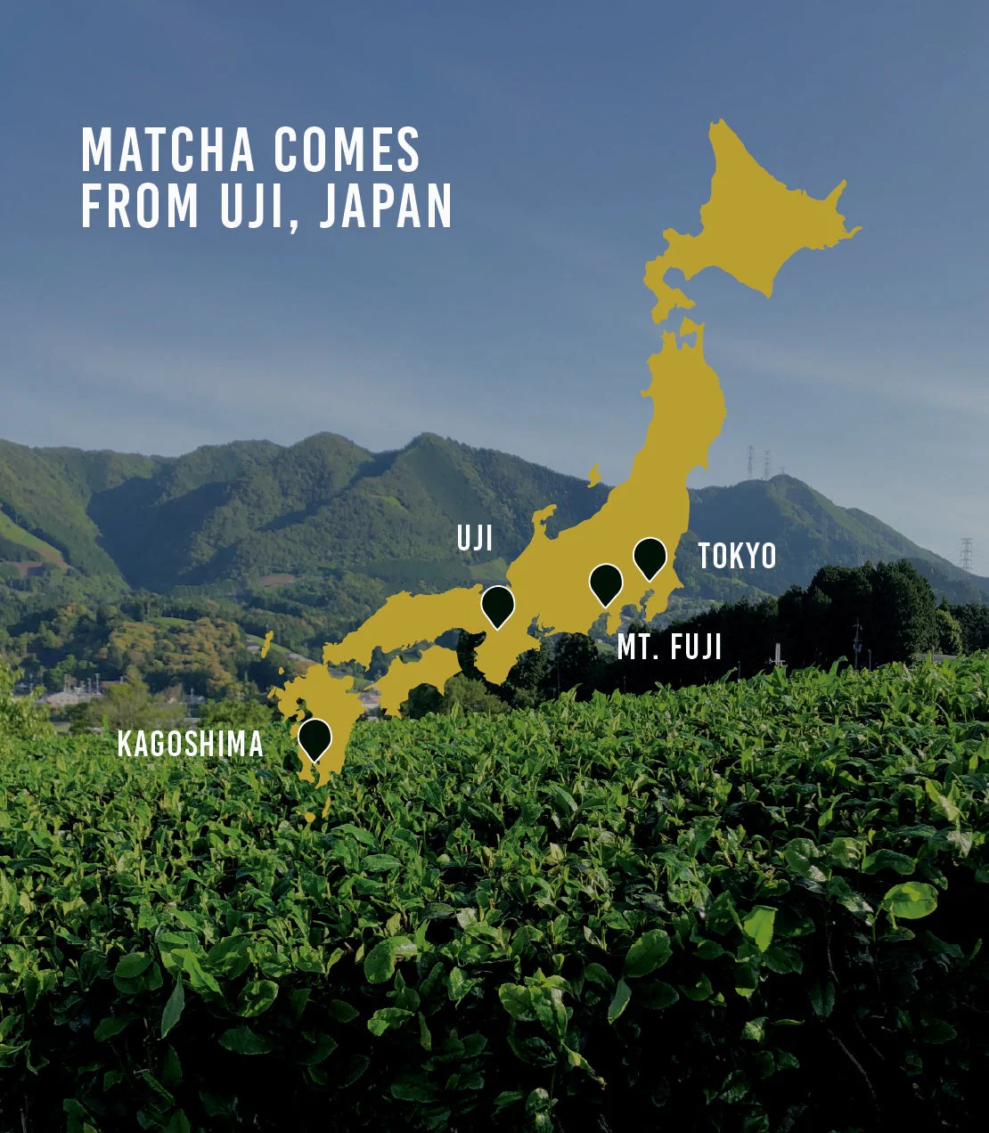 Unjonotomo Ceremonial Matcha (Extra Thick Grade) - Image 2