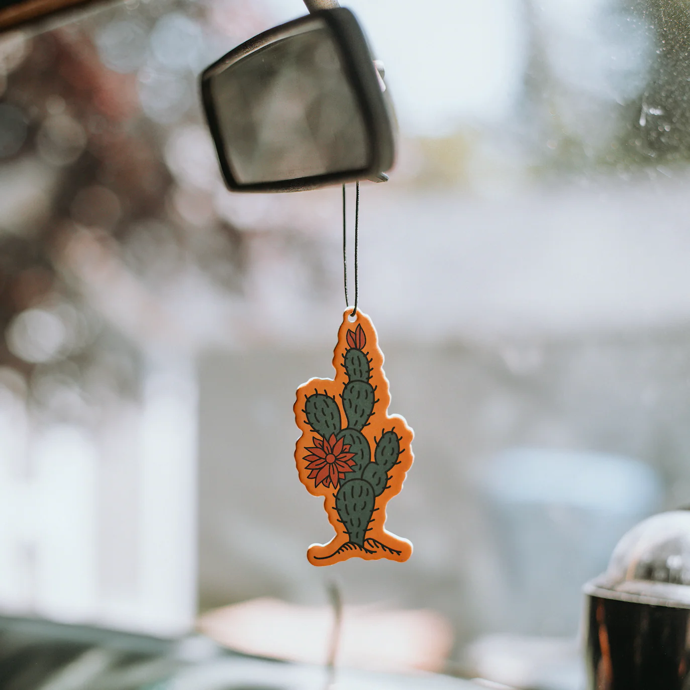 Zion National Park Air Freshener - Image 2